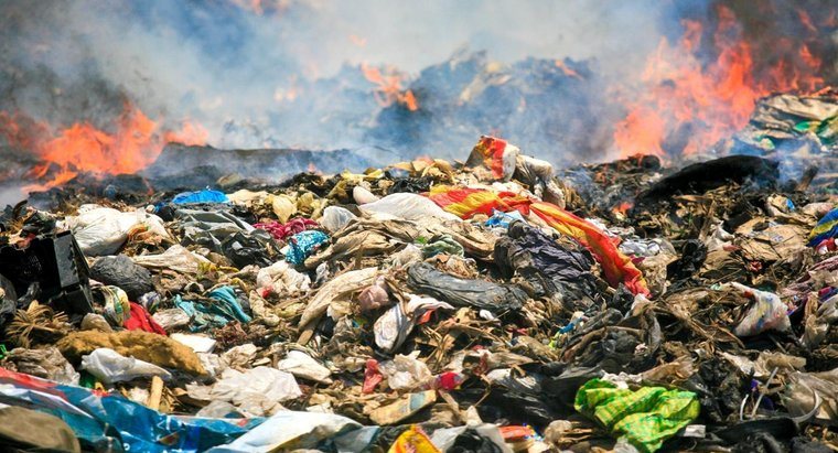 Fashion industry: Disastrous impact on environment | Mossel Bay Advertiser