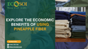 Explore the Economic Benefits of Using Pineapple Fiber