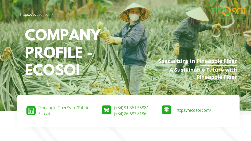 ECOSOI – COMPANY PROFILE